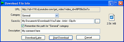 flv download file info