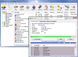 Internet Download Manager 5.19 