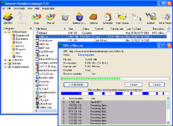 Internet Download Manager 5.07 Final Full