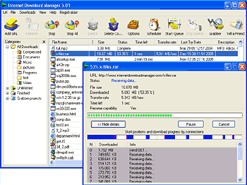 Internet Download Manager screenshot 350