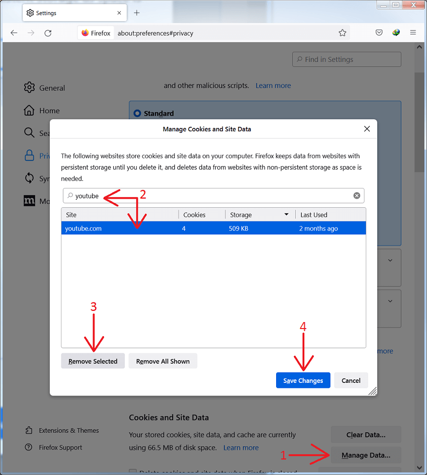 Clear cookies for YouTube in FireFox