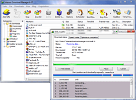 idm portable