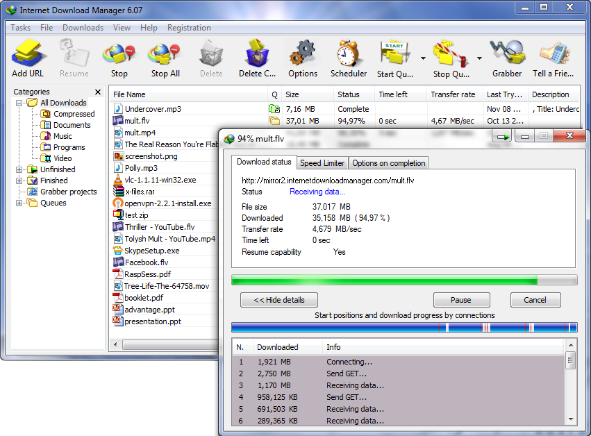 Internet Download Manager 6.41 Build 2 Crack with Serial Key