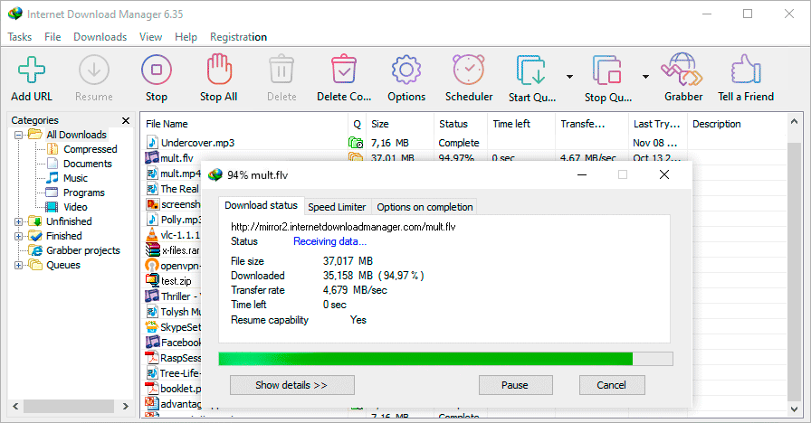 https://www.internetdownloadmanager.com/images/idm_custom.gif