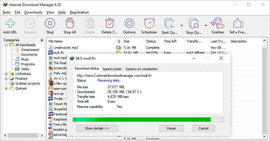 Internet Download Manager Lifetime License