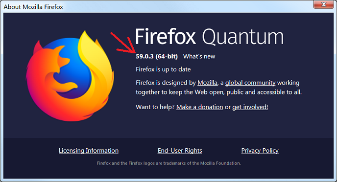 Checking FireFox version