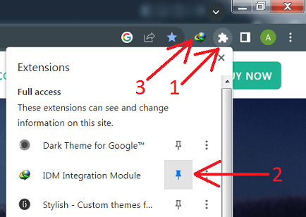 如何在Chrome中固定IDM扩展