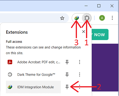 How to pin IDM extension in Chrome