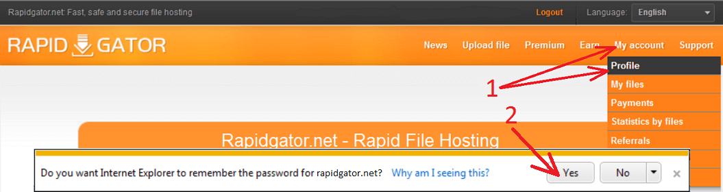 Rapidgator net down