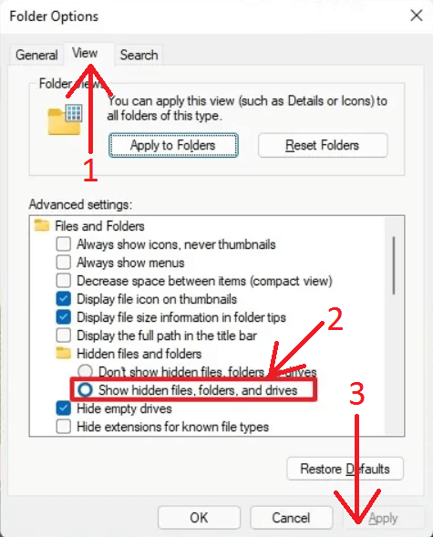 Enable 'Show hidden files and folders' option in Windows 10