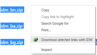 'Download selected links with IDM' Internet Explorer right click pop-up menu